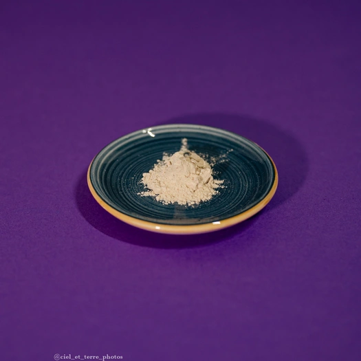Psyllium blond BIO - 300g - poudre Visuel 1 principal